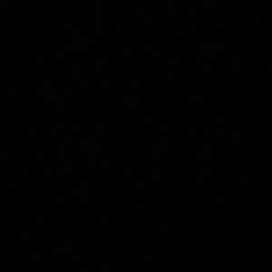 Meet your Posher, Reese